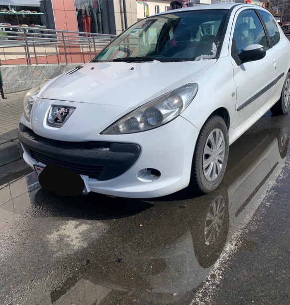 Peugeot 206 Plus, 2009 г.