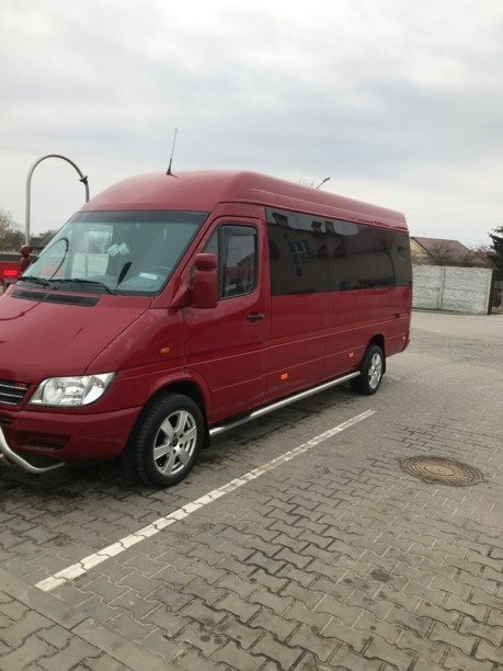 Mercedes Sprinter 313, 2004 г.