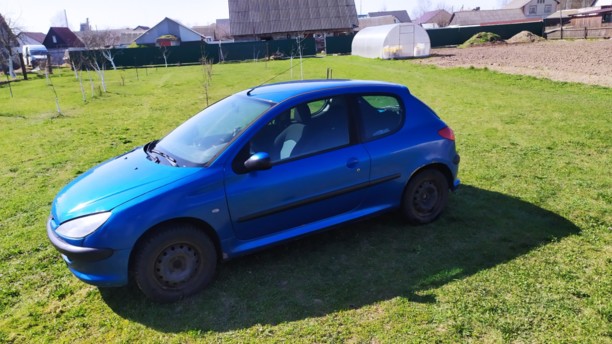 Peugeot 206 I, 2004 г.