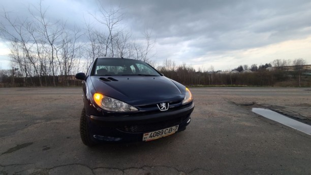 Peugeot 206 I, 2004 г.