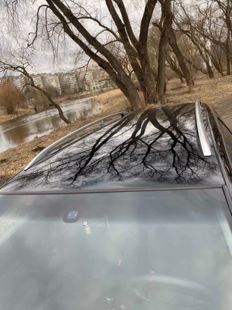 Volkswagen Passat B6, 2008 г.