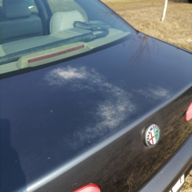 Alfa Romeo 166 936, 1999 г.