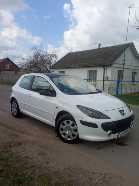 Peugeot 307 I · Рестайлинг, 2006 г.