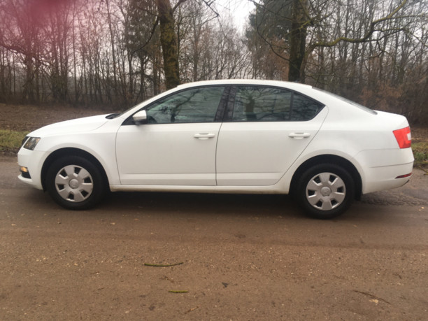 Skoda Octavia III · Рестайлинг, 2019 г.
