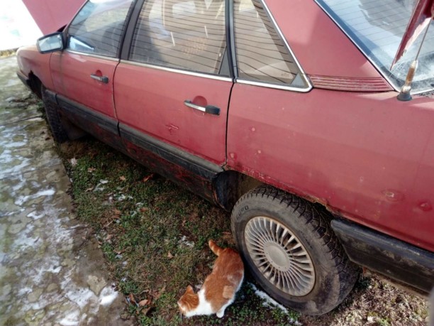 Audi 100 С3, 1984 г.