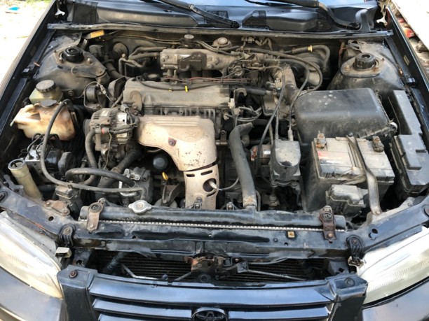 Toyota Camry XV20, 1999 г.
