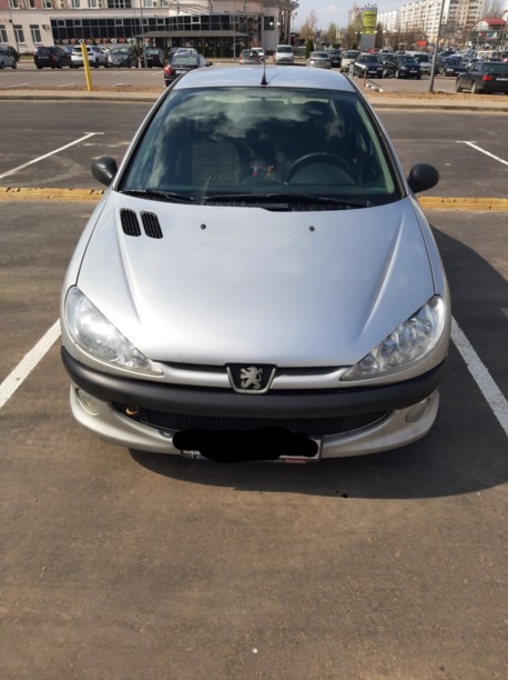 Peugeot 206 I, 2009 г.
