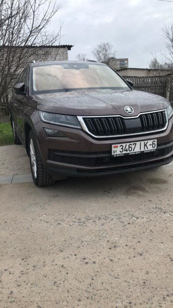 Skoda Kodiaq, 5 мест, 2019 г.