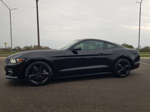 Ford Mustang VI, 2017 г.