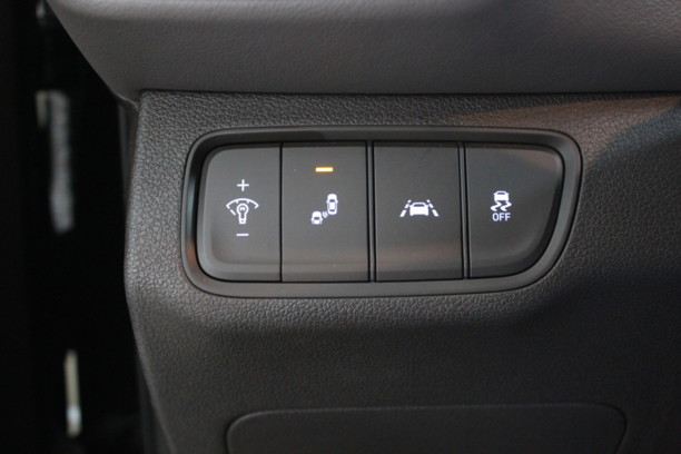 Hyundai Santa Fe TM, 2019 г.