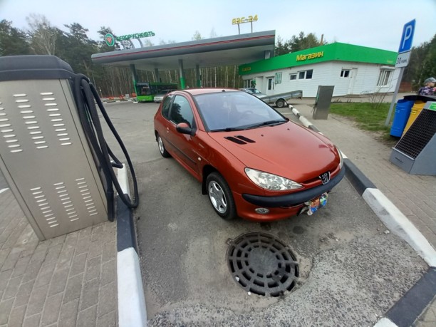 Peugeot 206 I, 2004 г.