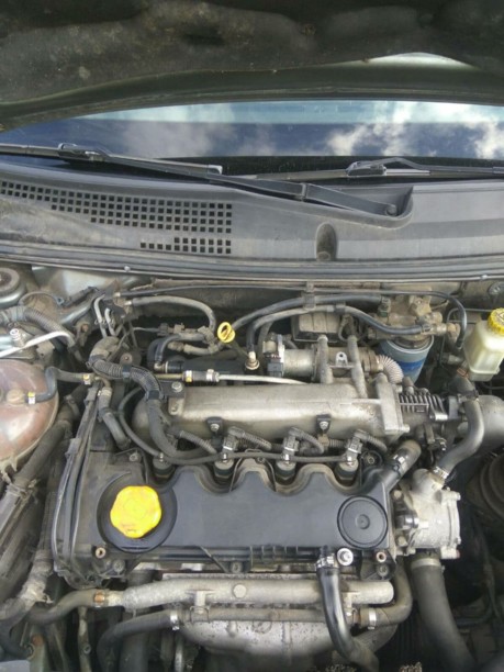 Fiat Stilo, 2006 г.