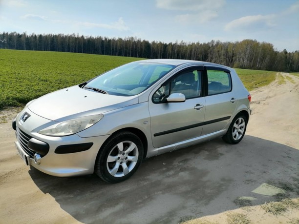 Peugeot 307 I · Рестайлинг, 2005 г.