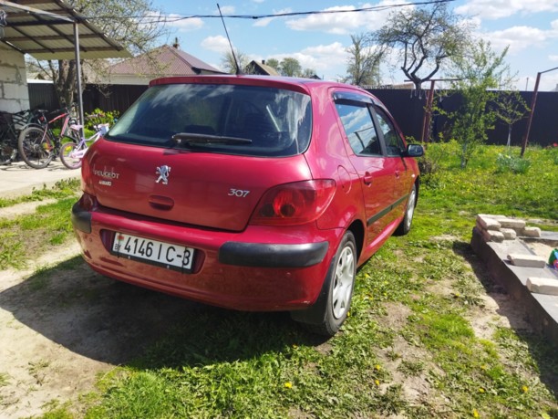 Peugeot 307 I, 2004 г.