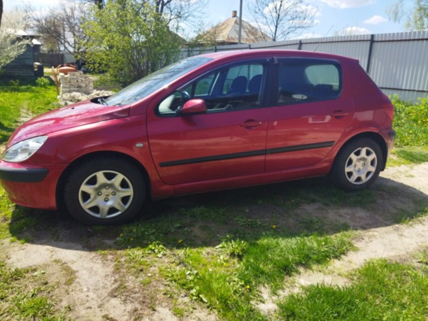 Peugeot 307 I, 2004 г.
