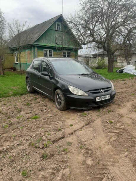 Peugeot 307 I, 2002 г.