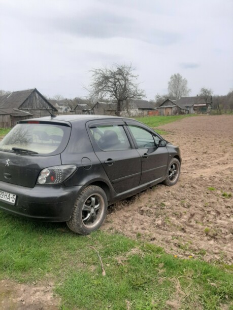 Peugeot 307 I, 2002 г.