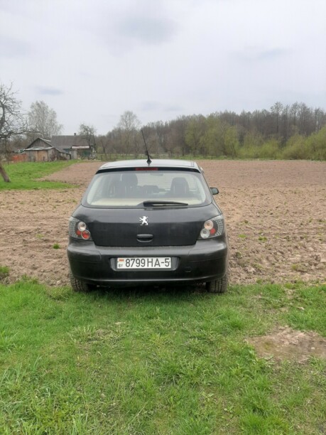 Peugeot 307 I, 2002 г.