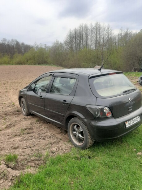 Peugeot 307 I, 2002 г.