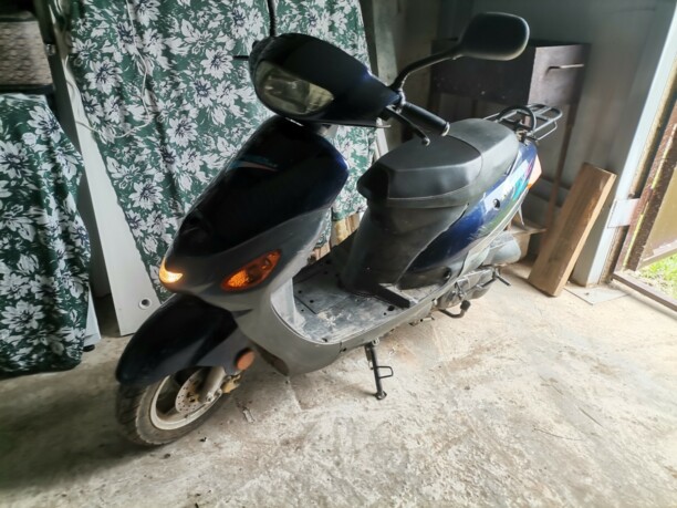 Hors 51, 2010 г.