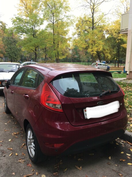 Ford Fiesta VI, 2009 г.