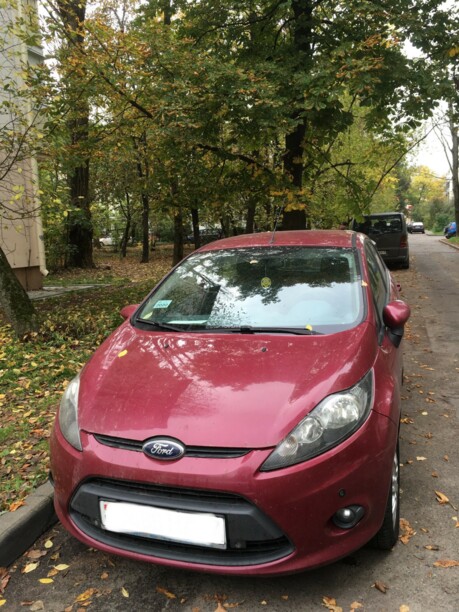 Ford Fiesta VI, 2009 г.