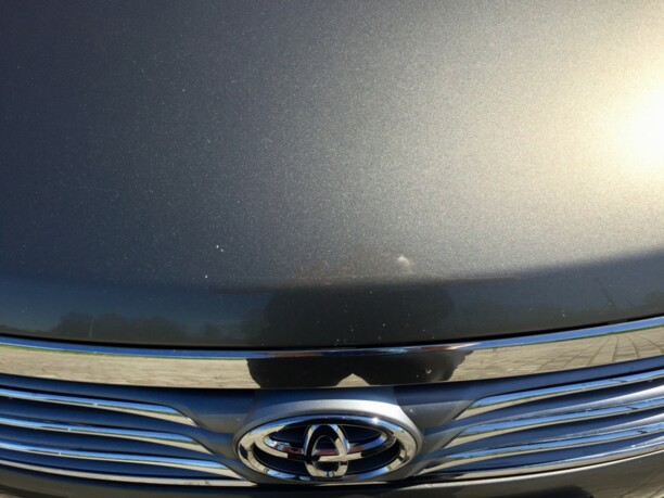Toyota RAV4 III (XA30) · Рестайлинг, 5 мест, 2010 г.