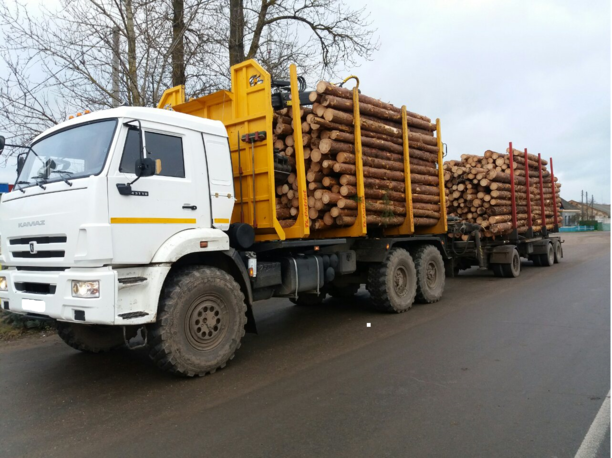 КамАЗ 43 43118, 2016 г.