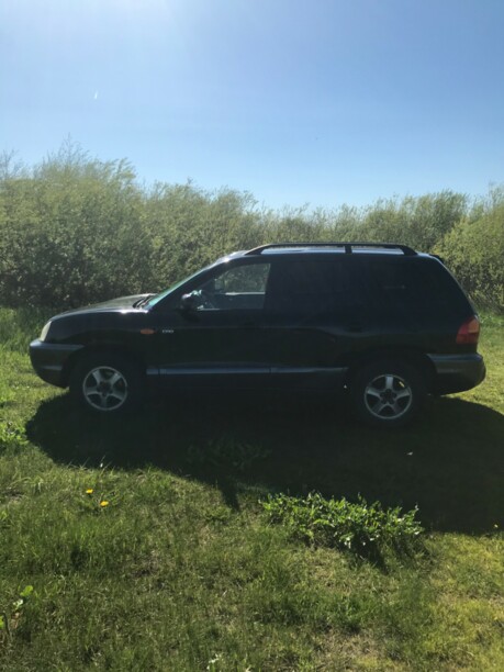 Hyundai Santa Fe SM, 5 мест, 2003 г.