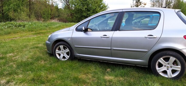 Peugeot 307 I, 2003 г.