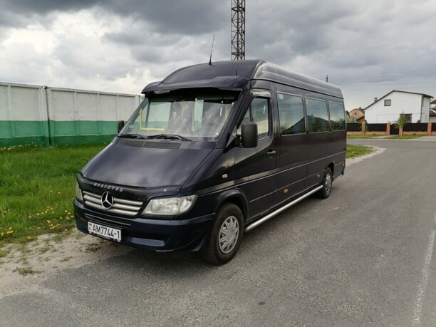 Mercedes-Benz Sprinter 313, 2004 г.
