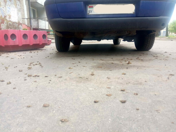 Fiat Palio I, 1998 г.