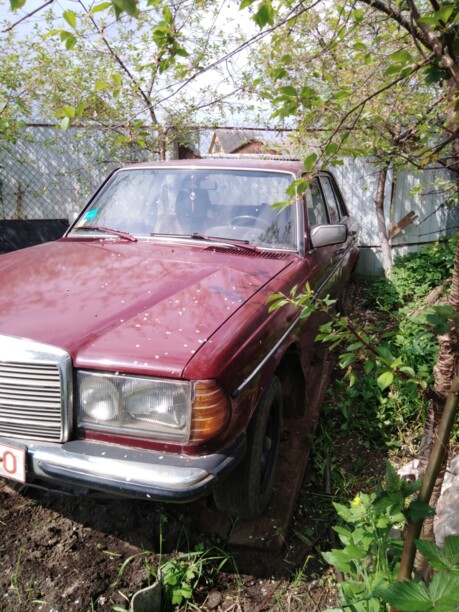Mercedes-Benz E-Класс W123, 1983 г.