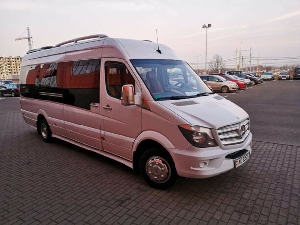 Mercedes-Benz Sprinter 516, 2010 г.
