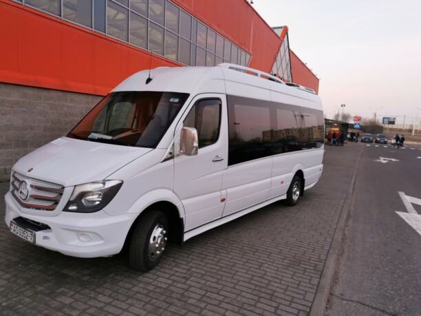 Mercedes-Benz Sprinter 516, 2010 г.