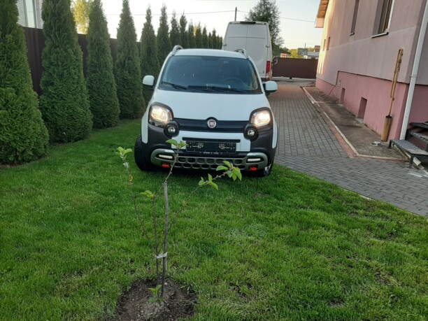 Fiat Panda III, 2016 г.