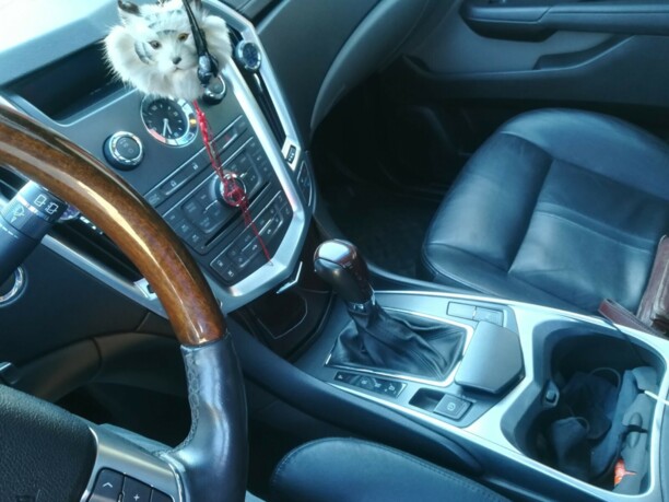 Cadillac SRX II, 2011 г.