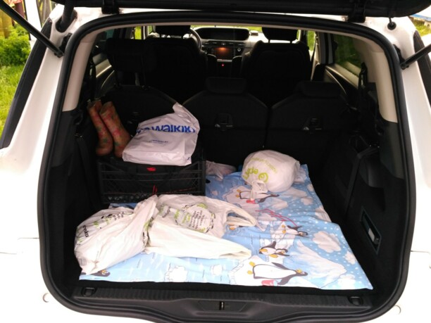 Citroen C4 Grand Picasso II, 7 мест, 2016 г.