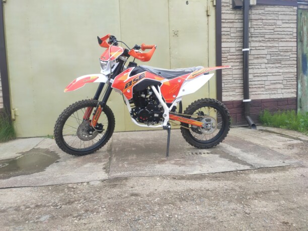 BSE Z1 PH12A, 2019 г.