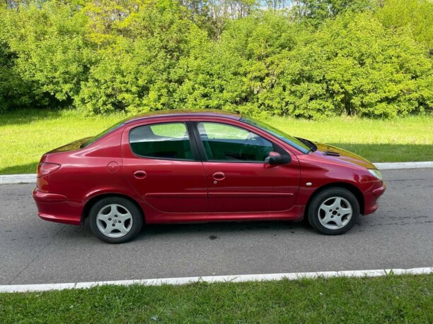 Peugeot 206 I, 2007 г.