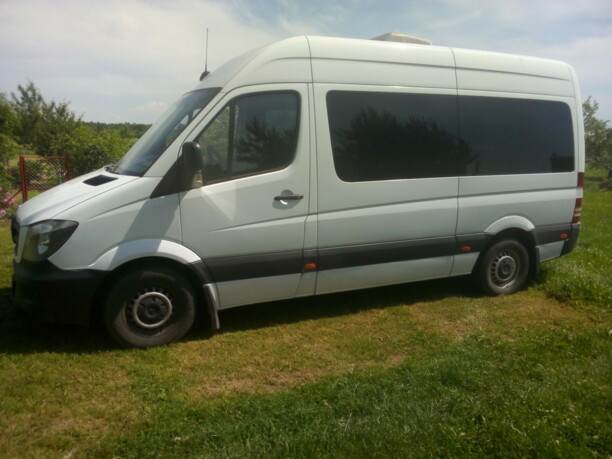 Mercedes-Benz Sprinter W 906, 2014 г.