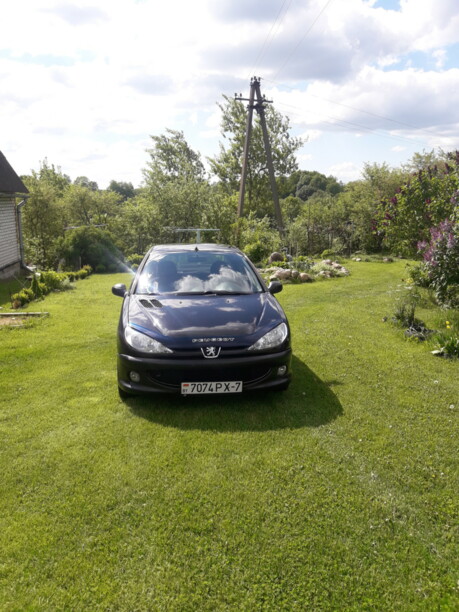 Peugeot 206 I, 2007 г.