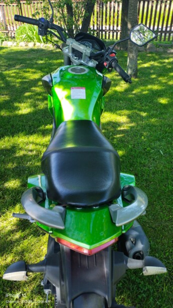 Racer Panther, 2019 г.