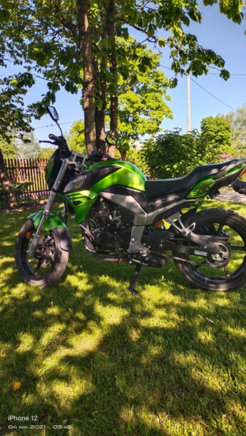 Racer Panther, 2019 г.