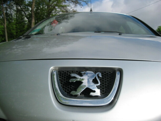 Peugeot 206 Plus, 2010 г.