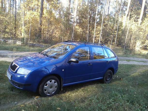 Skoda Fabia 6Y, 2002 г.