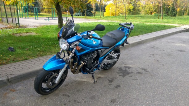 Suzuki GSF, 2006 г.