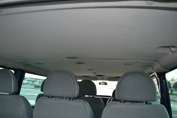 Ford Transit Tourneo, 2008 г.