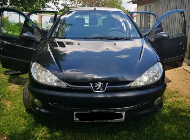 Peugeot 206 I, 2004 г.