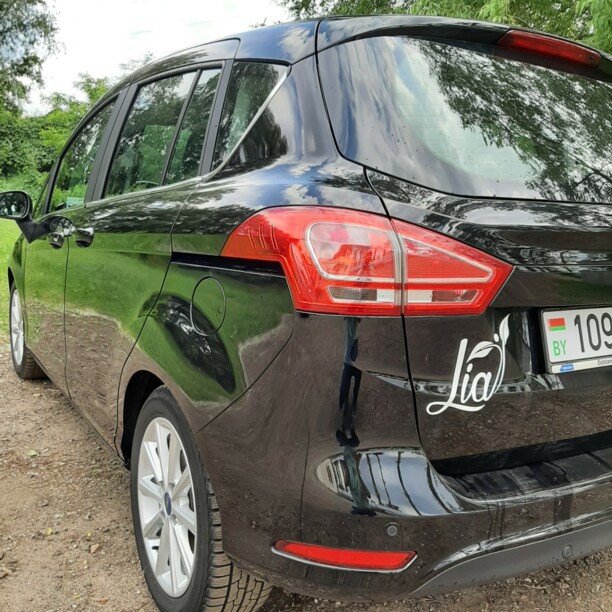 Ford B-MAX, 2017 г.